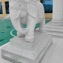 保山 白麻花岗岩动物异形石雕-大象