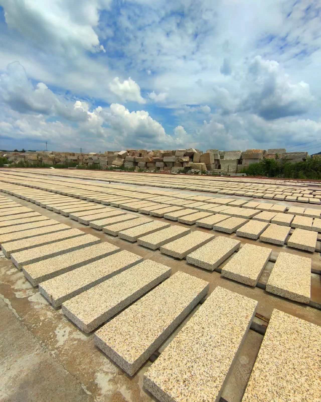 保山 黄金麻花岗岩荔枝面地铺石防护中